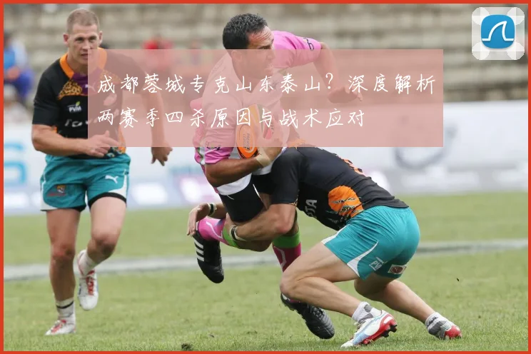 成都蓉城专克山东泰山？深度解析两赛季四杀原因与战术应对